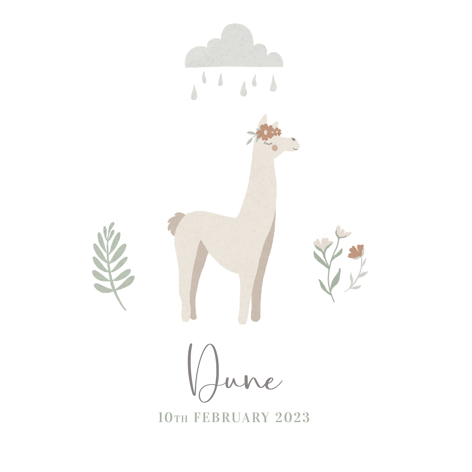 Llama Personalised New Baby Card